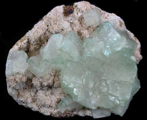 Green Apophyllite Crystals On Zeolites - India #34066